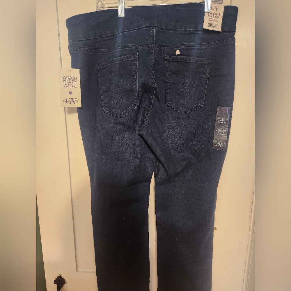 NWT GV pull on leans size 18 short